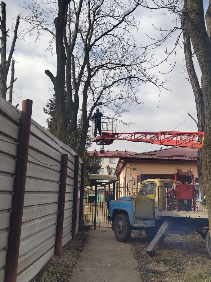 Во Владикавказе продолжается сезонная обрезка деревьев. Во Владикавказе продолжается сезонная обрезка деревьев.
